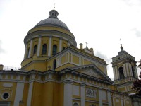 В Александро-Невской лавре началась реставрация куполов